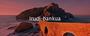 Irudi-bankua